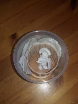 Vapor Smoothing Cage v1