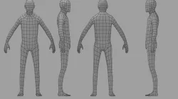 Base mesh human  3D model