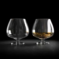 Brandy Glass 3D model