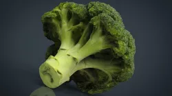 Broccoli Low-poly  3D model