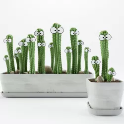 Cactus with eyes 3D model