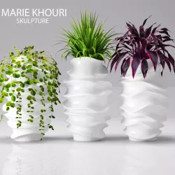 Collection of plants in pots 1 3D model