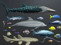 Coral Fish Pack 2 Low-poly  3D model