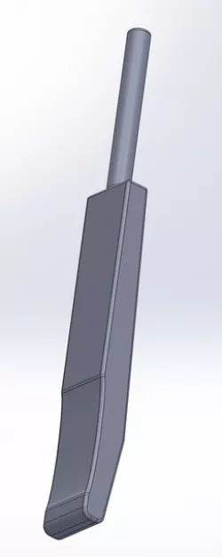 Cricket Bat