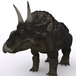 Diceratops Dinosaur  3D model
