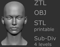 Female head 6 3D model