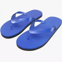 Flip Flops 3D model