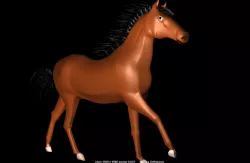 Horse
