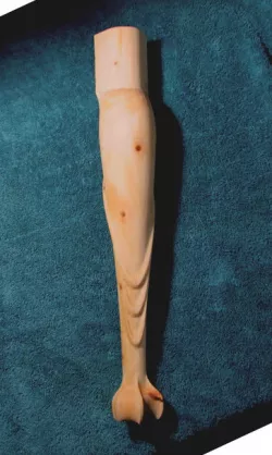 Leg Queen Anne, with eagle claw
