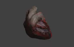 Low Poly Human Heart Low-poly  3D model