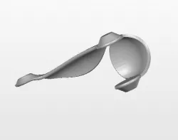 model request