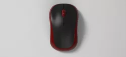 mouse