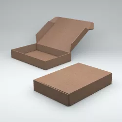 Package Box with Automatic and Folding Rig Low-poly  3D model