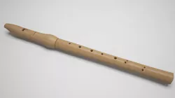 recorder Low-poly  3D model