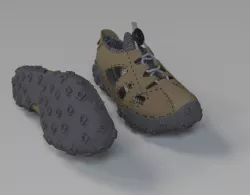 Shoe, 3D Shoe and Sole