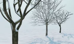 Snow tree 3D model