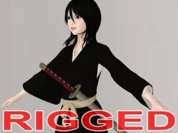 T pose rigged model of Rukia with various outfit 3D model