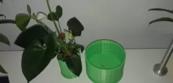Airy Clone Planter