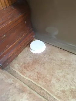 Ant Bait Holder