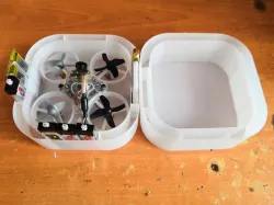 Case for Tiny Whoop