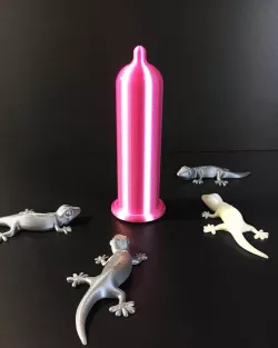 condom