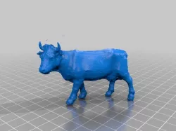 Dairy cow