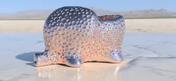 Elephant dryer (closed voronoi)