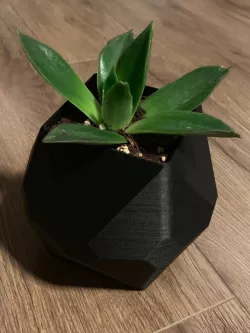 Geometric Plant Pot