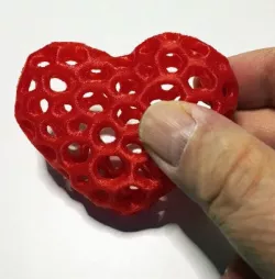 Heart_torus