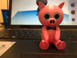 Pig
