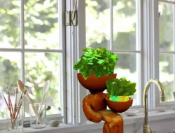 plant sitter