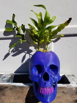 PUNK SKULL POT
