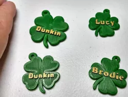 Saint Patrick's Day - Dog Tags - Custom Name