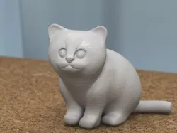 sitting kitten