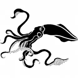 Squid stencil