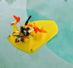 Tiny Transformer: Tiny Ship