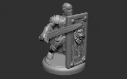 Tower Shield Fighter