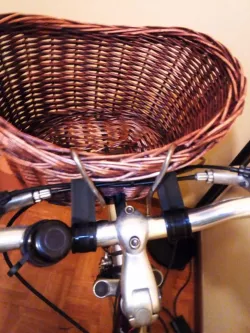 Wife's Bike basket support