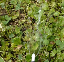 Angle-style fan irrigation spreader