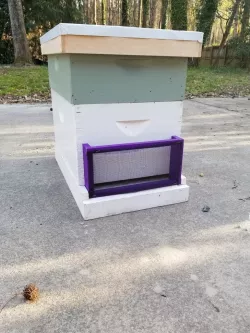 Bee Robber Screen