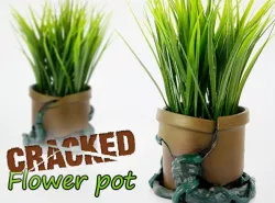 Cracked Flower pot