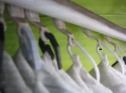 curtain hook