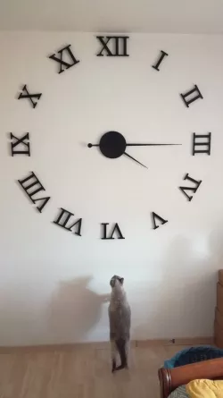Extra large roman wall clock