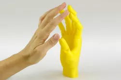 Jointed Hand