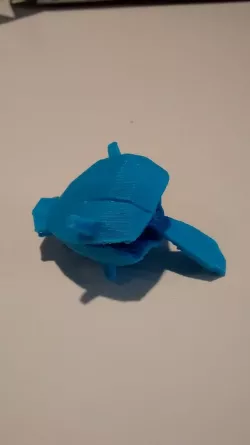 Shellder