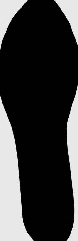 shoe sole