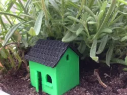 Small house