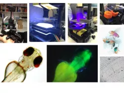 The 100 $ lab: Fluorescence microscope & behavioural tracker for optogenetics