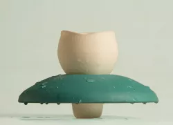 Water lily: the Floating Mug 