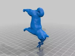 Dogeflake